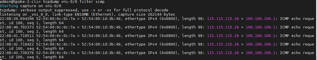 A computer screen capture Description automatically generated with low confidence