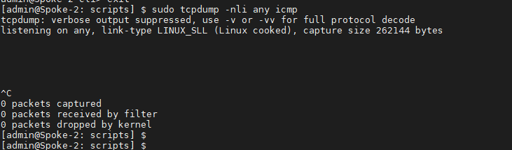 Text Description automatically generated