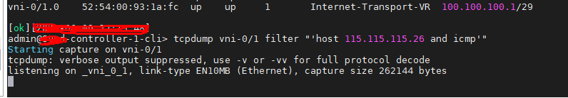 Text Description automatically generated